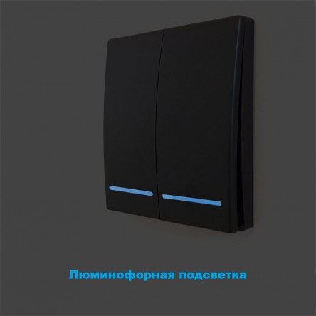 Беспроводной выключатель Inted 220V одноклавишный