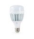 Светодиодная лампа Feron LB-65 30W E27 6400K