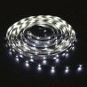 Лента светодиодная LS613 5m 12V 9.6W/m 120SMD/m IP65