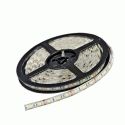 Світлодіодна стрічка MTK300 60LED 14.4W/m 5050 12V IP66