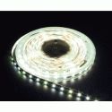 Лента светодиодная Feron LS606 5m 12V 14,4W/m 60SMD/m IP20