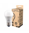 Светодиодные Лампы на 12V, 24V, 36V